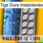 Tige Dure Instantanée 34